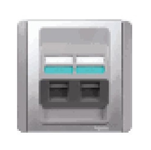 Schneider Digilink Face Plate 2 port