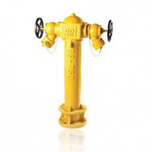 Trụ chữa cháy 2xDN65 SRI HYD060-CI-100-YW