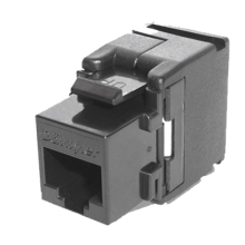Nhân mạng RJ45 Datwyler module Jack Cat 6 white for faceplate