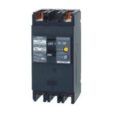 Aptomat ELCB 2P 100A 25kA 30mA Panasonic BKW21003KY